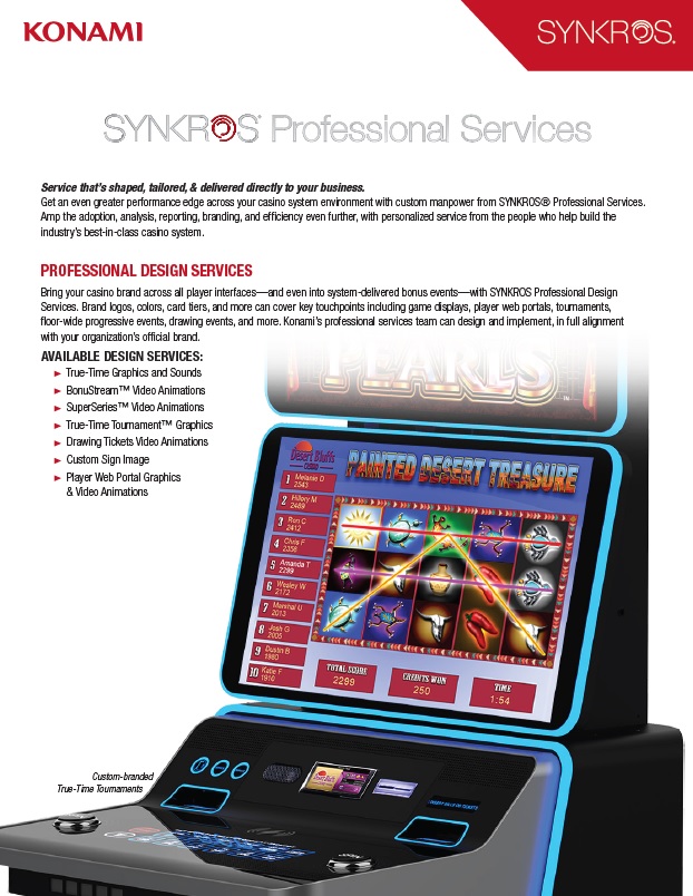 SYNKROS Professional Services Slick SYNKROS Professional Services Slick