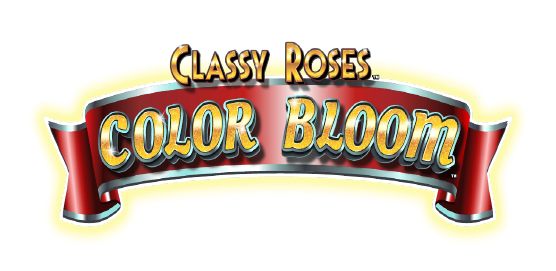 Classy Roses Color Bloom Logo Final Classy Roses Color Bloom Logo Final
